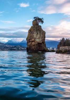 Stanley Park 'ta deniz kenarında. Kışın Bulutlu Gün Doğumu. Vancouver, British Columbia, Kanada.