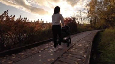 Anne, Deer Gölü 'nde bebek arabasıyla yürüyor. Burnaby, BC Kanada. Sonbahar sezonu. Güneşli Günbatımı. Ağır çekim. Yüksek kalite 4k görüntü