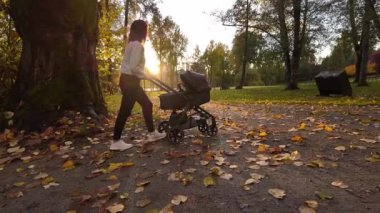 Anne, Deer Gölü 'nde bebek arabasıyla yürüyor. Burnaby, BC Kanada. Sonbahar sezonu. Güneşli Günbatımı. Ağır çekim. Yüksek kalite 4k görüntü