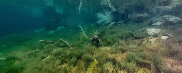Underwater Scene Lake British Columbia Canada — Stock Photo, Image