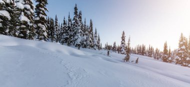 Kanada Dağ Manzarası 'nda kış manzarası. Renkli Gündoğumu. Garibaldi, Whistler, BC, Kanada.