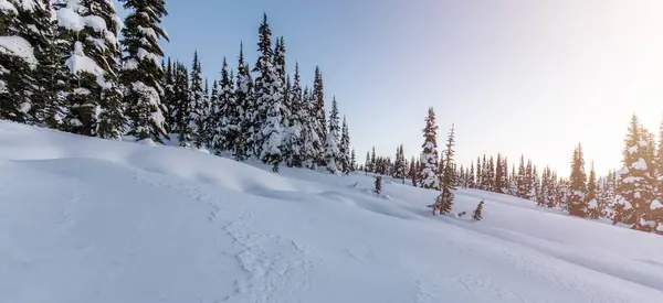 Winter Landscape Canadian Mountain Landscape Colorful Sunrise Garibaldi Whistler Canada — Stock Photo, Image
