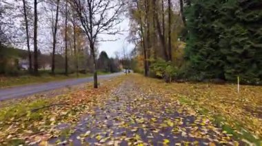 Banliyö Mahallesi 'ndeki yaya yolu. Sonbahar sezonu. Rüzgarlı fırtınadan sonra düşen yapraklar. Burnaby, BC Kanada. Yavaş Hareket.