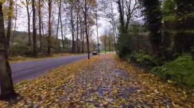 Banliyö Mahallesi 'ndeki yaya yolu. Sonbahar sezonu. Rüzgarlı fırtınadan sonra düşen yapraklar. Burnaby, BC Kanada. Yavaş Hareket.