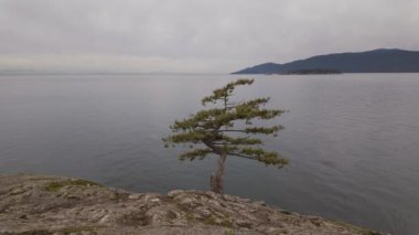 Batı Kıyısı 'ndaki Rocky Shore, Pasifik Okyanusu. Bulutlu Sonbahar sezonu. Batı Vancouver, BC Kanada. Yüksek kalite 4k görüntü