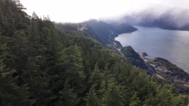 Dağdaki Yeşil Ağaçlar, Kanada Doğa Alanı. Squamish, British Columbia, Kanada. Yavaş Sinema Sineması.