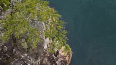 Rocky Shore 'daki Yeşil Ağaç, Batı Yakası, Pasifik Okyanusu. Bulutlu Sonbahar sezonu. Batı Vancouver, BC Kanada. Yüksek kalite 4k görüntü