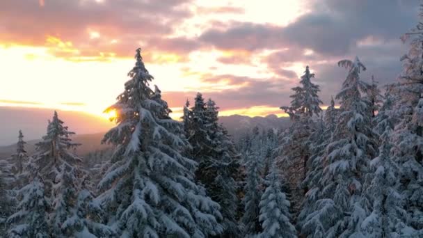 加拿大山景覆盖在雪地里 空中自然背景 加拿大不列颠哥伦比亚省温哥华附近 日落的天空 — 图库视频影像