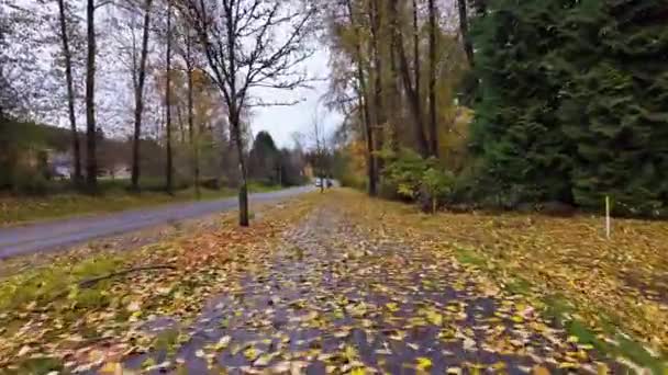 郊外の歩行者パスウェイ 秋のシーズン 風の強い嵐の後に落ちる バーナビー Bcカナダ スローモーション — ストック動画