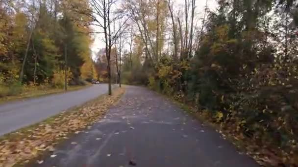 Πεζόδρομος Προαστιακή Γειτονιά Φθινοπωρινή Μπέρναμπι Καναδάς Αργή Κίνηση Υψηλής Ποιότητας — Αρχείο Βίντεο