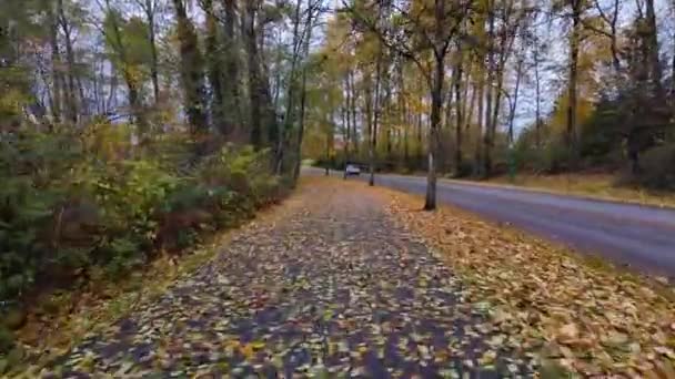 Banliyö Mahallesi Ndeki Yaya Yolu Sonbahar Sezonu Rüzgarlı Fırtınadan Sonra — Stok video