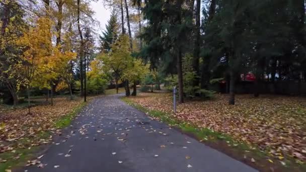 Caminho Pedestre Bairro Suburban Temporada Outono Burnaby Canadá Movimento Lento — Vídeo de Stock