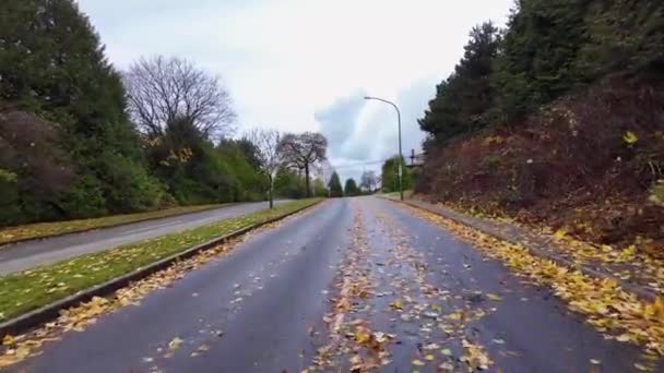 郊外の道路に 秋のシーズン 風の強い嵐の後に落ちる バーナビー Bcカナダ スローモーション 高品質の4K映像 — ストック動画