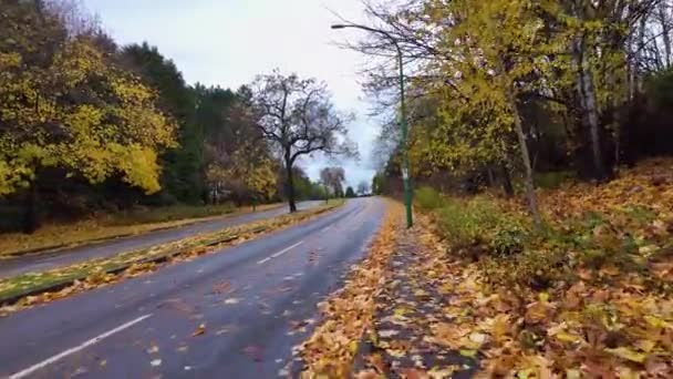 Banliyö Mahallesi Yolu Sonbahar Sezonu Rüzgarlı Fırtınadan Sonra Düşen Yapraklar — Stok video