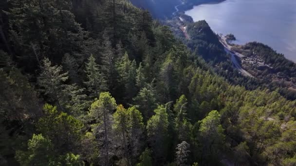 Gröna Träd Berget Kanadensiska Natur Landskap Bakgrund Squamish British Columbia — Stockvideo