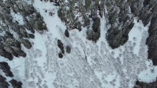 Luchtfoto Winter Landschap Bedekt Met Sneeuw Bomen Canadese Natuur Brits — Stockvideo