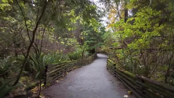 Wandelpad Canadees Regenwoud Herfstseizoen Lighthouse Park West Vancouver Canada Hoge — Stockvideo