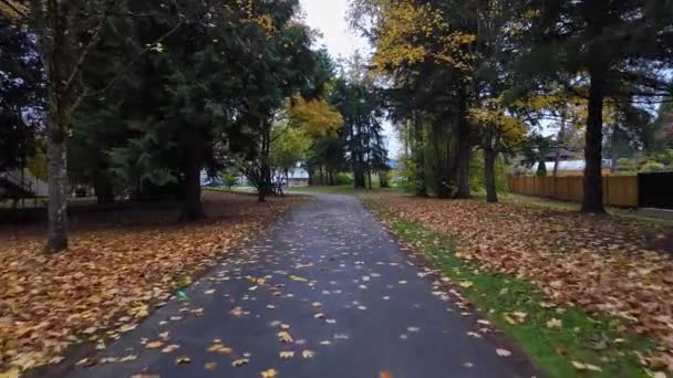 Banliyö Mahallesi Ndeki Yaya Yolu Sonbahar Sezonu Burnaby Kanada Ağır — Stok video