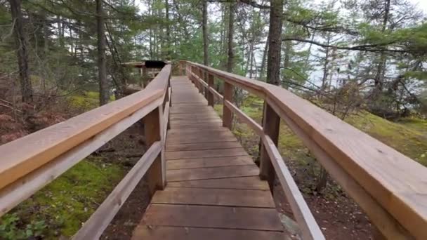 Wooden Pathway Canadian Rainforest Automne Lighthouse Park West Vancouver Canada — Video