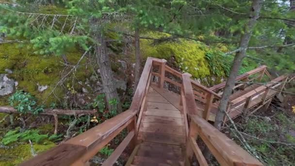 Escalera Madera Selva Tropical Canadiense Temporada Otoño Lighthouse Park West — Vídeo de stock