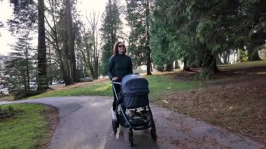 Anne, Stanley Park 'ta Bebekle Bebekleri Seawall' da gezdiriyor. Güneşli bir gün, sonbahar sezonu. Vancouver, British Columbia, Kanada