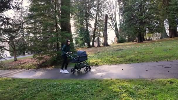 Mãe Empurrando Carrinho Com Bebê Seawall Stanley Park Sunny Day — Vídeo de Stock