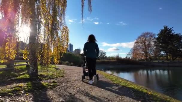 在斯坦利公园 妈妈把婴孩推到海堤上 阳光灿烂的日子 加拿大不列颠哥伦比亚省温哥华市中心 — 图库视频影像