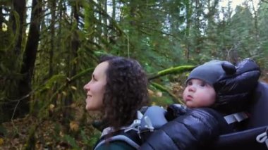 Sırt çantasındaki bebekle Kanada doğasında doğa yürüyüşü. Güneşli Sonbahar Günü, Orman. Lynn Vadisi, Kuzey Vancouver, BC Kanada. 