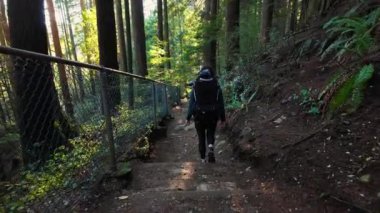 Sırt çantasındaki bebekle Kanada doğasında doğa yürüyüşü. Güneşli Sonbahar Günü, Orman. Lynn Vadisi, Kuzey Vancouver, BC Kanada. 