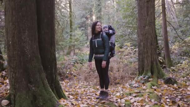 Moeder Wandelen Met Baby Rugzak Drager Canadese Natuur Zonnige Herfstdag — Stockvideo
