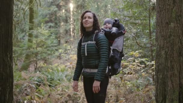 캐나다 자연의 캐리어에서 아기와 하이킹 어머니 화창한 가을의 밴쿠버 캐나다 — 비디오