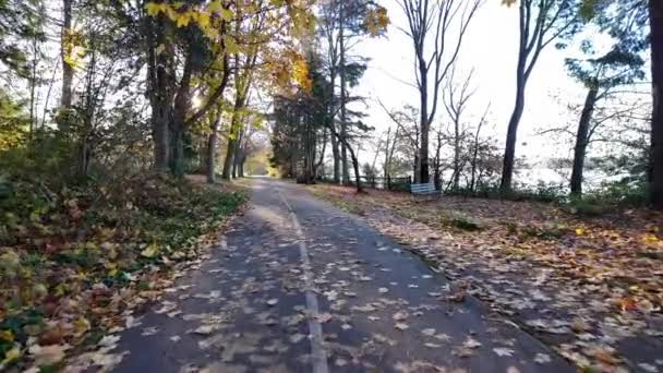 Scénický Seawall Cyklistická Stezka Slunečný Podzim Východ Slunce Stanley Park — Stock video