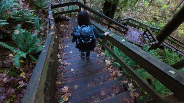 Mutter Wandert Mit Baby Rucksack Kanadischer Natur Sonniger Herbsttag Wald — Stockvideo