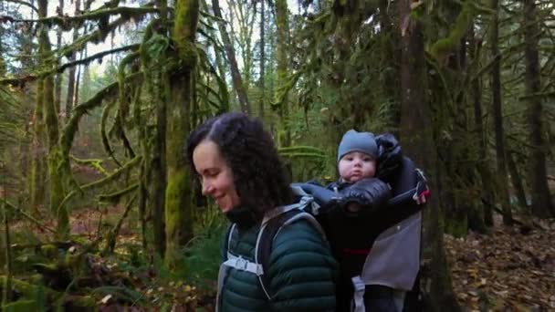 Mor Vandring Med Baby Rygsæk Carrier Canadisk Natur Solrig Efterårsdag – Stock-video