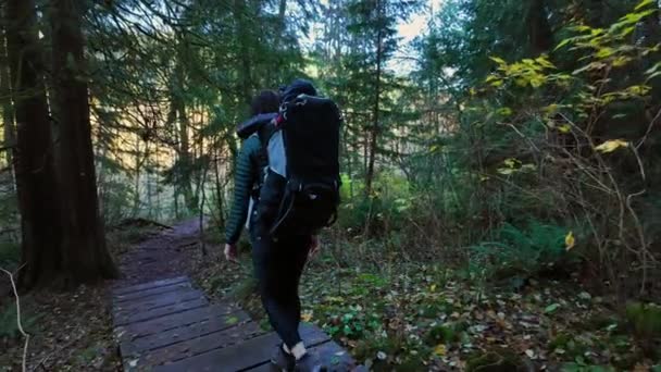 Mutter Wandert Mit Baby Rucksack Kanadischer Natur Sonniger Herbsttag Wald — Stockvideo