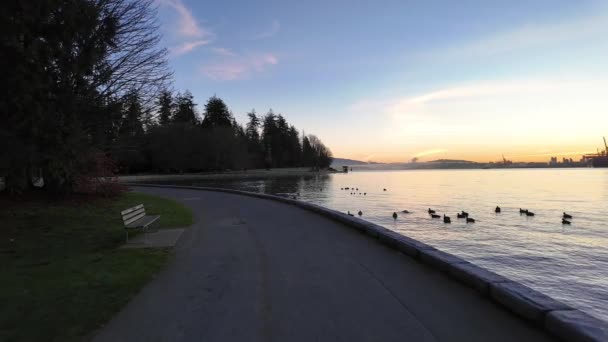 阳光明媚的秋天早晨 风景秀丽的海堤和城市景 赤柱公园煤港加拿大不列颠哥伦比亚省温哥华市中心 — 图库视频影像