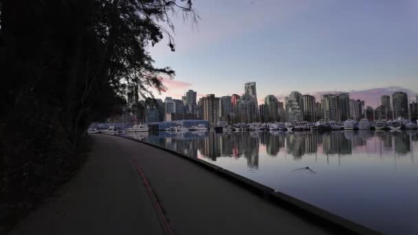 游艇在码头与城市景 建筑物在城市 秋天的季节 加拿大不列颠哥伦比亚省温哥华市中心煤港 — 图库视频影像