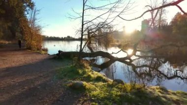 Ünlü Stanley Park 'taki Kayıp Göl manzarası. Binaları olan modern bir şehir. Gün doğumu. Vancouver, British Columbia, Kanada.