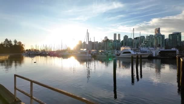 游艇在码头与城市景 建筑物在城市 阳光初露 加拿大不列颠哥伦比亚省温哥华市中心煤港 — 图库视频影像