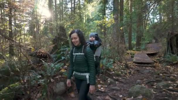 Мать Младенцем Рюкзаке Канадской Природе Солнечная Осень Лес Линн Вэлли — стоковое видео