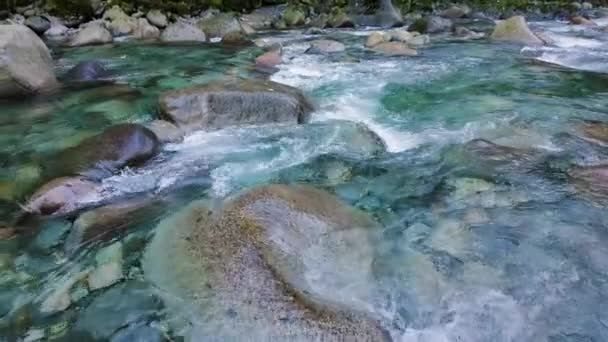 Water Running Rocks River Canyon Canadian Nature Fall Season Lynn — Stock Video