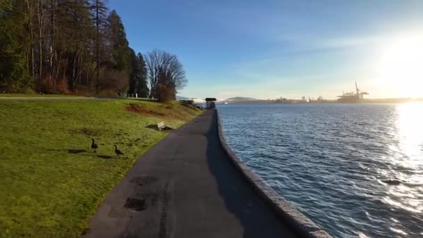 Landschaftlich Reizvolle Seawall Und Stadt Einem Sonnigen Herbstmorgen Sonnenaufgang Coal — Stockvideo