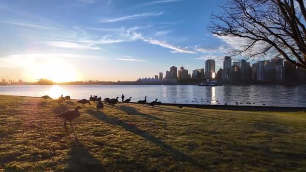 日出日落上的风景海堤和建筑物 赤柱公园煤港加拿大不列颠哥伦比亚省温哥华市中心 — 图库视频影像
