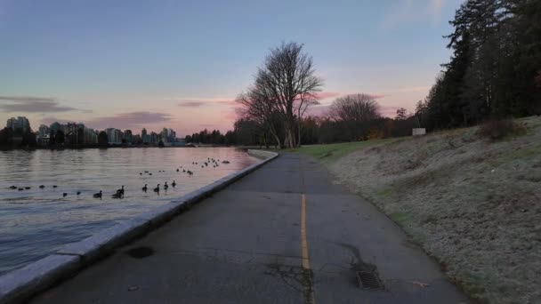 Scenic Seawall Path City Scape Fall Morning Twilight Coal Harbour — Stock Video