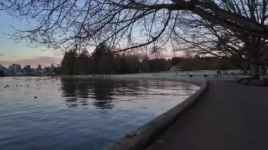 Manzaralı Seawall, Patika ve Sonbahar Sabahı Şehir Sahnesi. Alacakaranlık. Coal Harbour, Stanley Park. Vancouver, British Columbia Kanada.