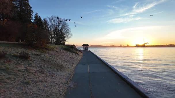 Sunny Sunrise Daki Sahne Seawall Binaları Coal Harbour Stanley Park — Stok video