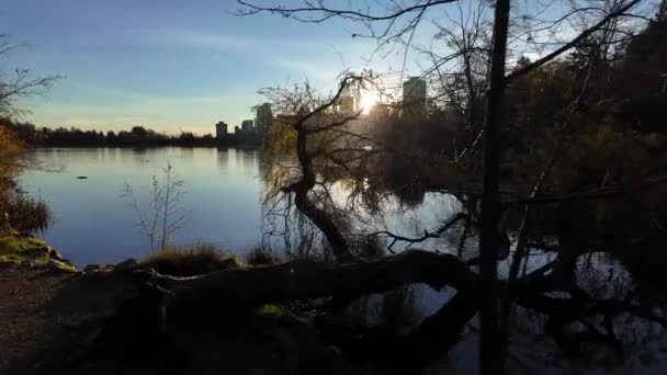 Widok Lost Lagoon Słynnym Stanley Park Nowoczesne Miasto Budynkami Wschód — Wideo stockowe