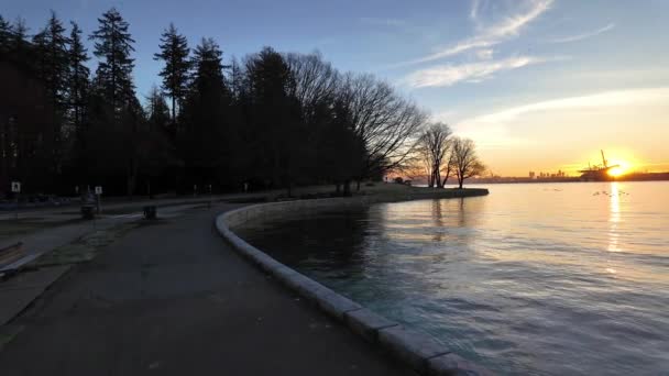 日出日落上的风景海堤和建筑物 赤柱公园煤港加拿大不列颠哥伦比亚省温哥华市中心 — 图库视频影像