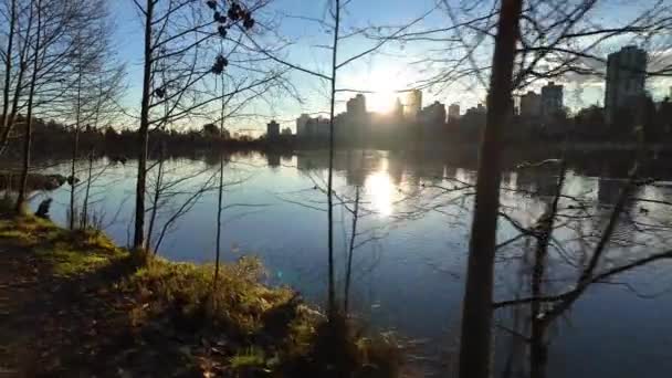 View Lost Lagoon Famous Stanley Park Modern City Buildings Sunrise — Stock Video