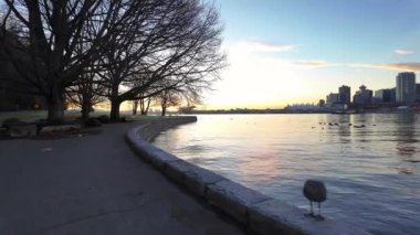 Manzaralı Seawall, Patika ve Sonbahar Sabahı Şehir Sahnesi. Alacakaranlık. Coal Harbour, Stanley Park. Vancouver, British Columbia Kanada.